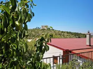 Apartments and Rooms Pavla