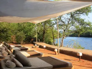 La Mangrove
