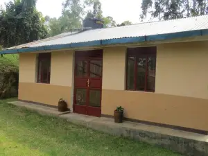 Itambira Island, Seeds of Hope