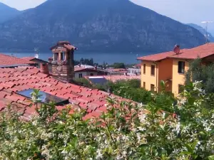 Il Gelsomino