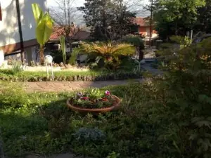 Fonte Nuova Penne