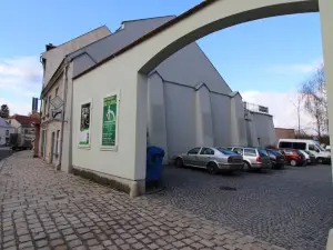 Penzion David