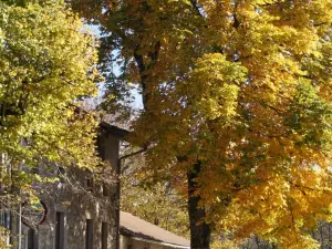 Auberge du Précontent