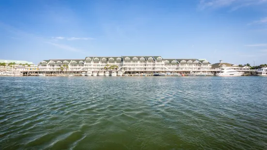 Holiday Inn & Suites Clearwater Beach S-Harbourside