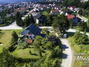 Apartment Monte Rosa