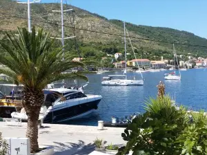 Buena Vis-ta Apartments with the Sea View