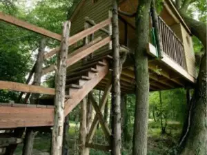 La Cabane Aux Secrets - Domaine du Der, au Milieu de Nulle Part