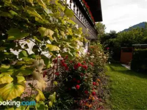 Apartmenthaus Juen