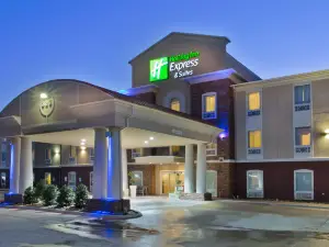 Holiday Inn Express & Suites ALVARADO by IHG