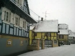 Chez Salome et Fritz