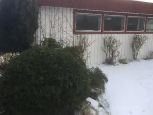 里斯森林貝爾維尤旅館