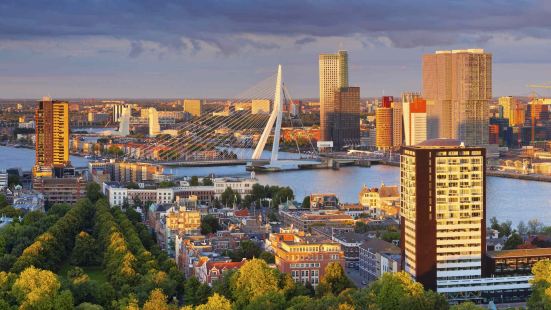 Rotterdam School Of Management Erasmus University Rsm Travel