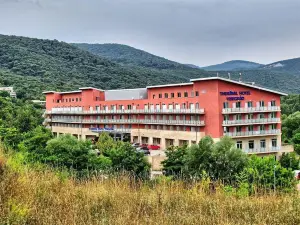 Thermal Hotel Visegrad Superior