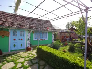 Pensiunea Doina si Ion