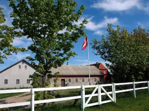 Stald Nordkap Farmstay Bed&Breakfast
