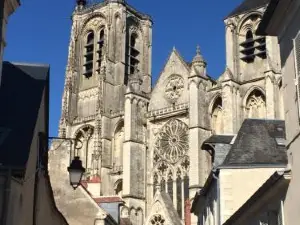 Belle Fontaine
