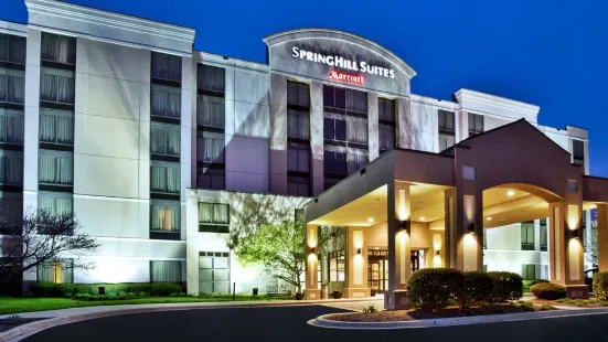 SpringHill Suites Chicago Elmhurst/Oakbrook Area