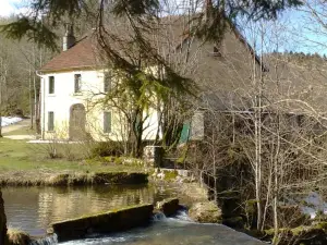 Au Moulin des Fées - Maison d'hôtes Cascades du Hérisson