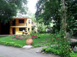 Restaurante - Hotel Los Manguitos