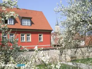 Biobausewein Wein Hotel Leben