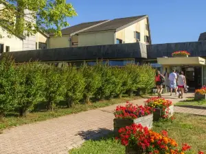 Vtf le Domaine des Puys