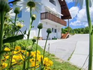 Apartment Bastaja