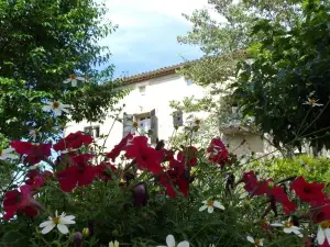 Les Logis des Magnans - Gite Astruc-