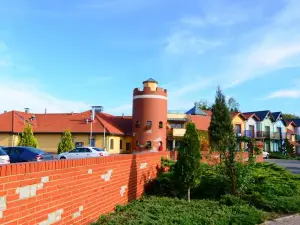 Przylądek Daglezja Nad Jeziorem Kórnickim
