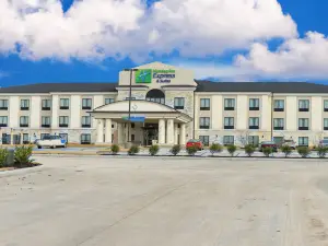 Holiday Inn Express & Suites CUERO by IHG