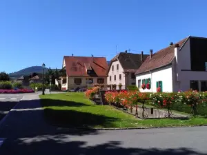 Gites & Camping on the Route des Vins