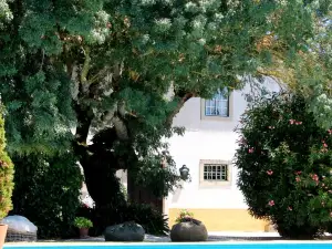 Quinta do Casal de Santo António