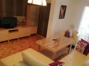 Apartman Nedic