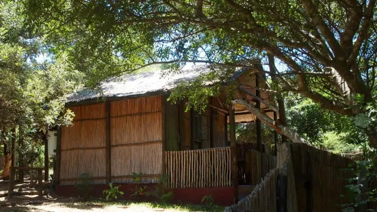 Gamboozini Lodge