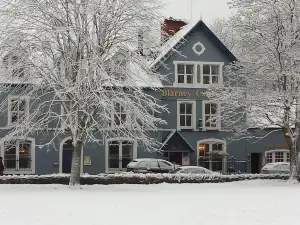 Blarney Castle Hotel