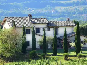 Il Collicello