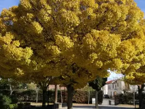 Hotel Rural la Gavilla