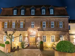 Hotel Saline