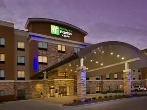 홀리데이 인 익스프레스 & 스위트 웨이코 사우스 바이 IHG