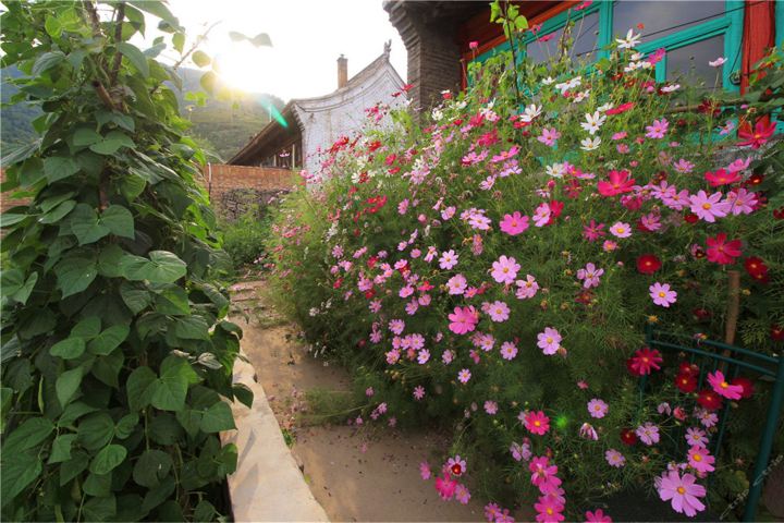 宁武芦芽山张二农农家乐-大床房
