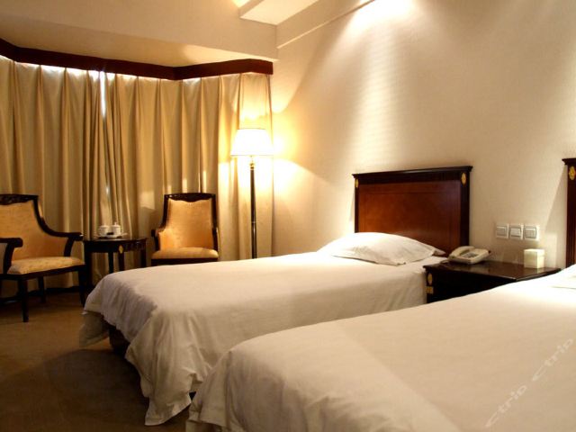 攀枝花南山宾馆-山景标准房