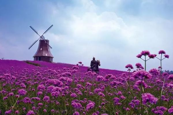 成都旅划算(成都紫颐·香熏山谷2大1小)团购-