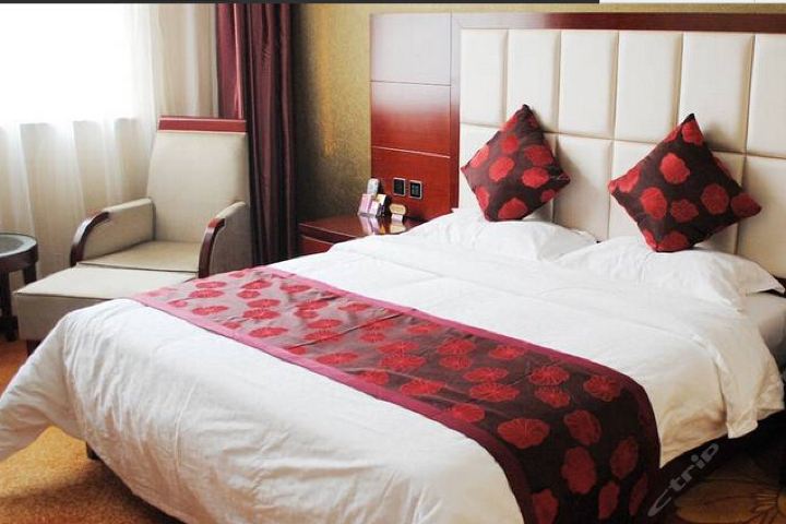 伊川迪尼斯酒店(娱乐套房)