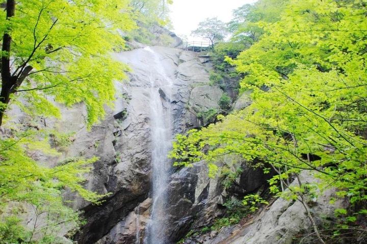 在線預約流程 南召寶天曼景區門票 0人已搶購 產品 說明