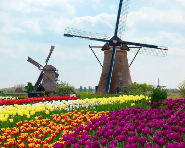 赤峰金山海贝儿游乐城(2018七彩风车节门票)