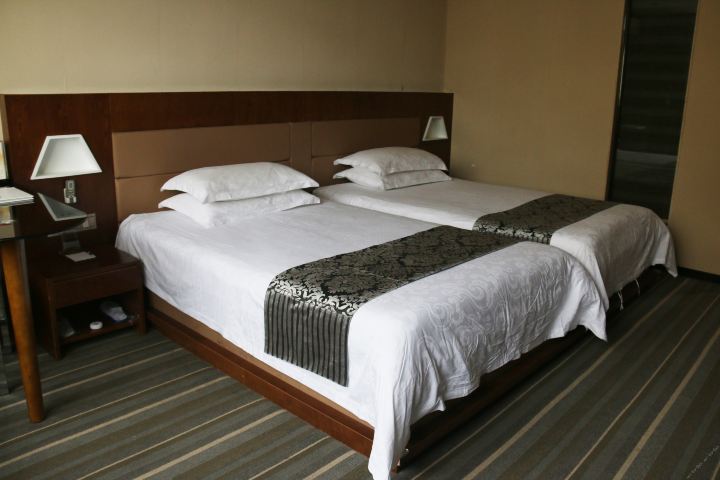 德化龙腾酒店-标准双人房