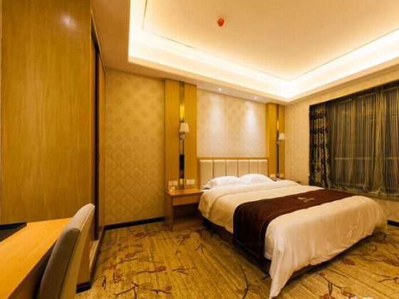 汉中金龙大酒店-数码间[含早]