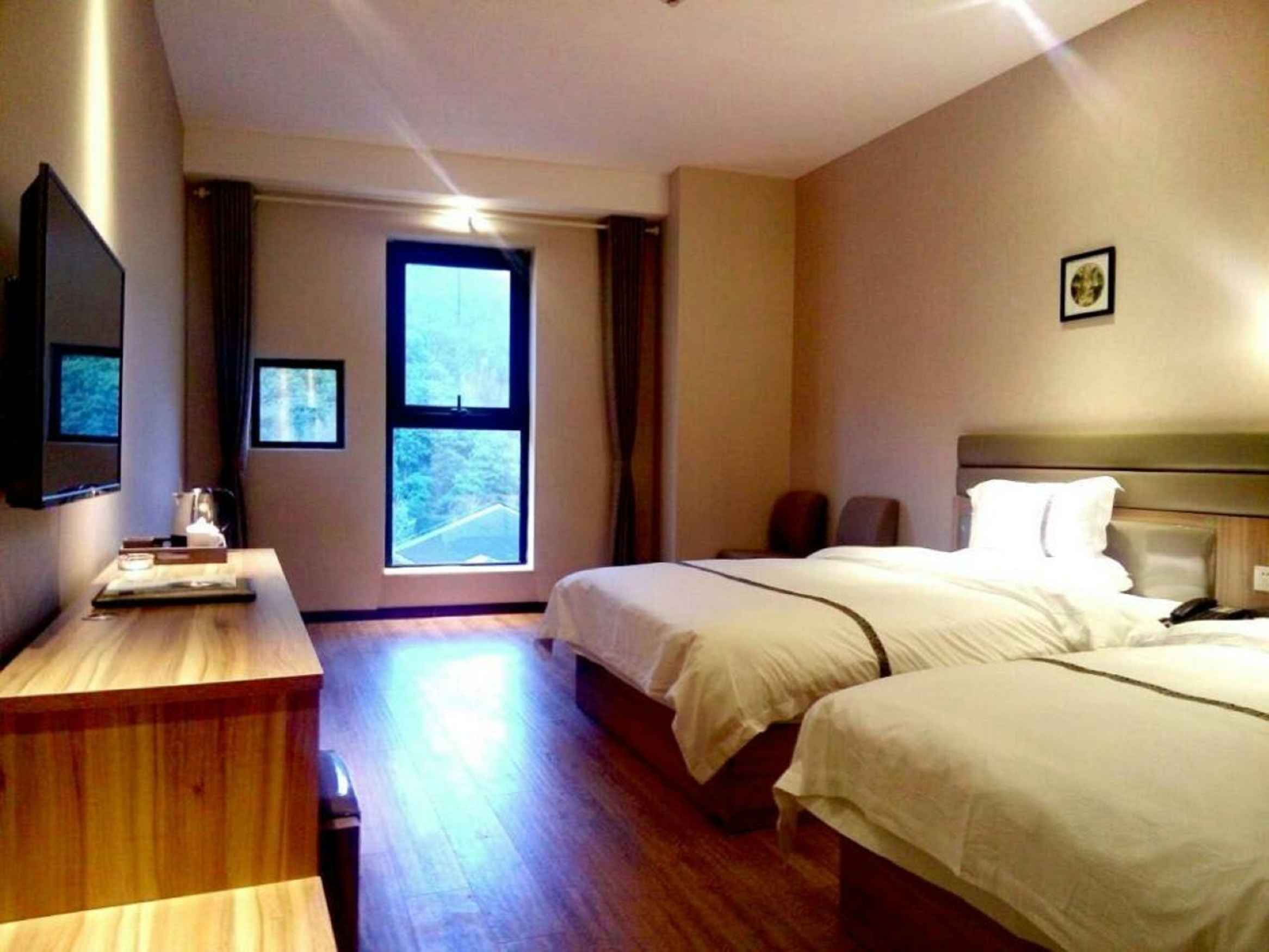 牛背梁国家森林公园