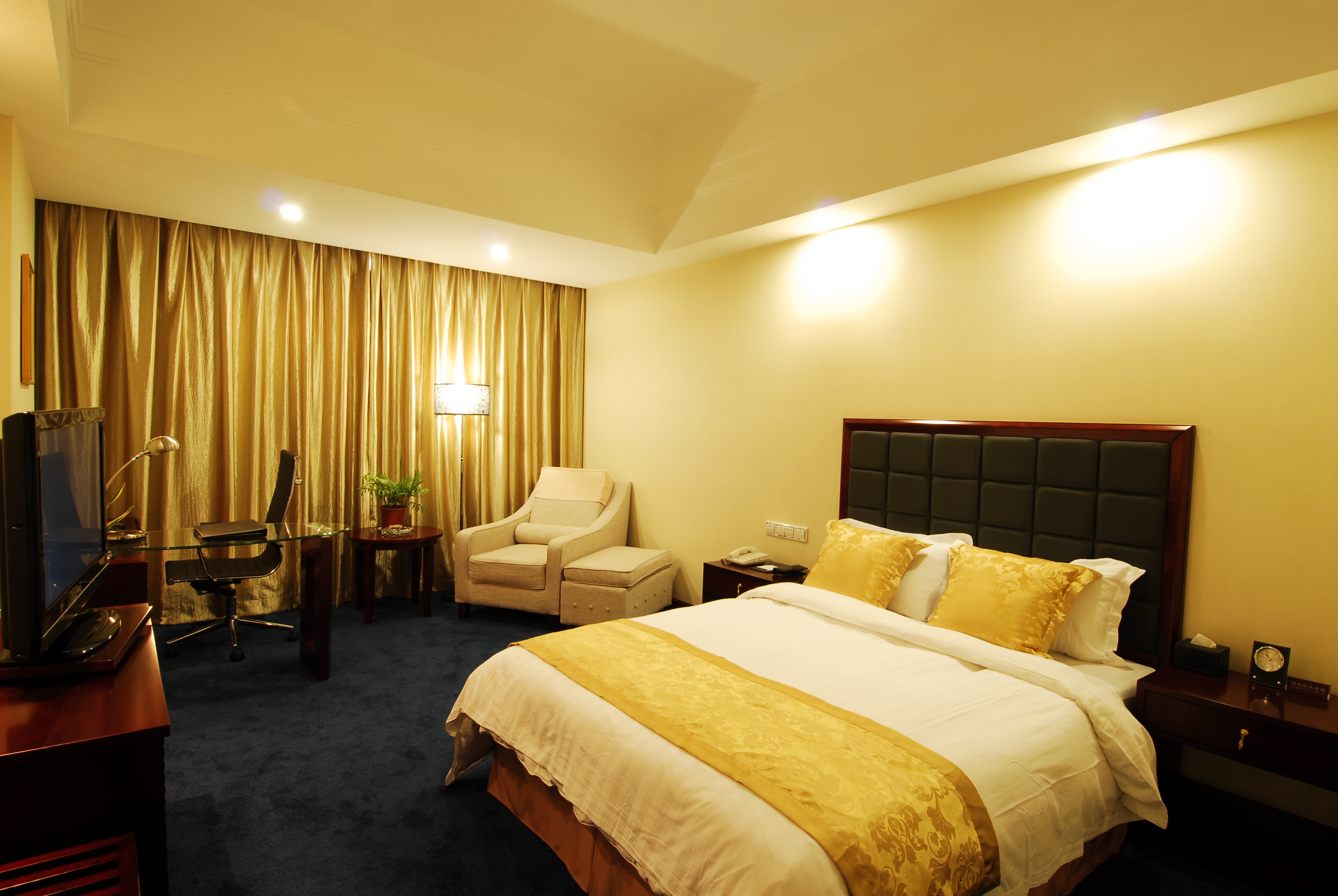 信阳溮河宾馆-豪华商务单间