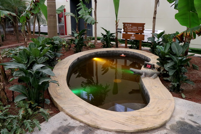 恒富温泉水世界门票 洗浴票