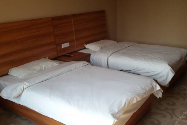 安陆白兆山宾馆-豪华标准间